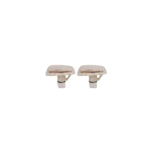 چراغ رو گلگیر